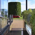 Absolutum Wellness