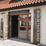 Absolutum Wellness